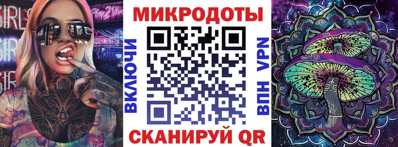 Псилоцибиновые грибы Psilocybe  Купить  Рязань 